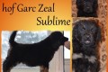 Hof Garc Zeal Sublime