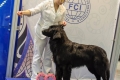 Hof-Garc-Odin Overbearing