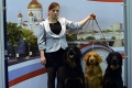 ховаварт