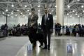 Russia-2-9.11.2014-4ховаварт, hovawart