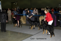 DSC_9101_19-48-30