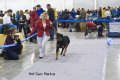 Hof Garc Markus