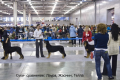 DSC_9460_18-02-29