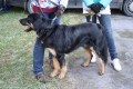 IMG_4072
