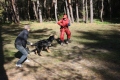 IMG_4169
