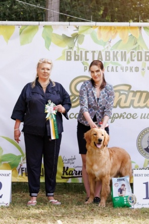 Гарцберг Шеф