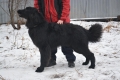 Hof Garc Tapio Just Us Well Great