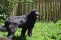 Hof Garc Tapio Just Us Well Great