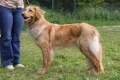 14-06-2009 Hof Garc Vestfalia