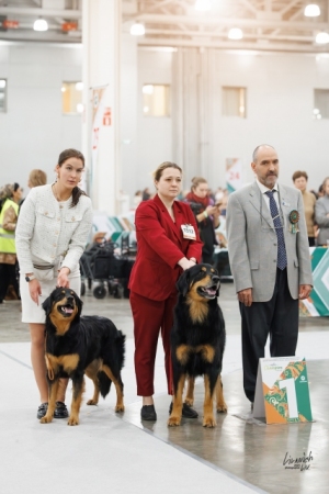 Велан Хоф Веста, Гарцберг Пахом