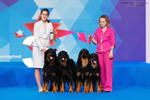 Евразия-2018