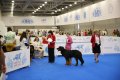 DIM_0944