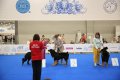 DIM_0956