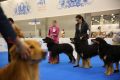 DIM_0872