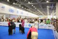 DIM_0905