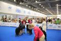 DIM_0907