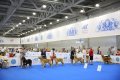 DIM_0663