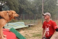 Хоф Гарц Вудфорд