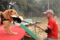Хоф Гарц Вудфорд