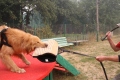 Хоф Гарц Вудфорд